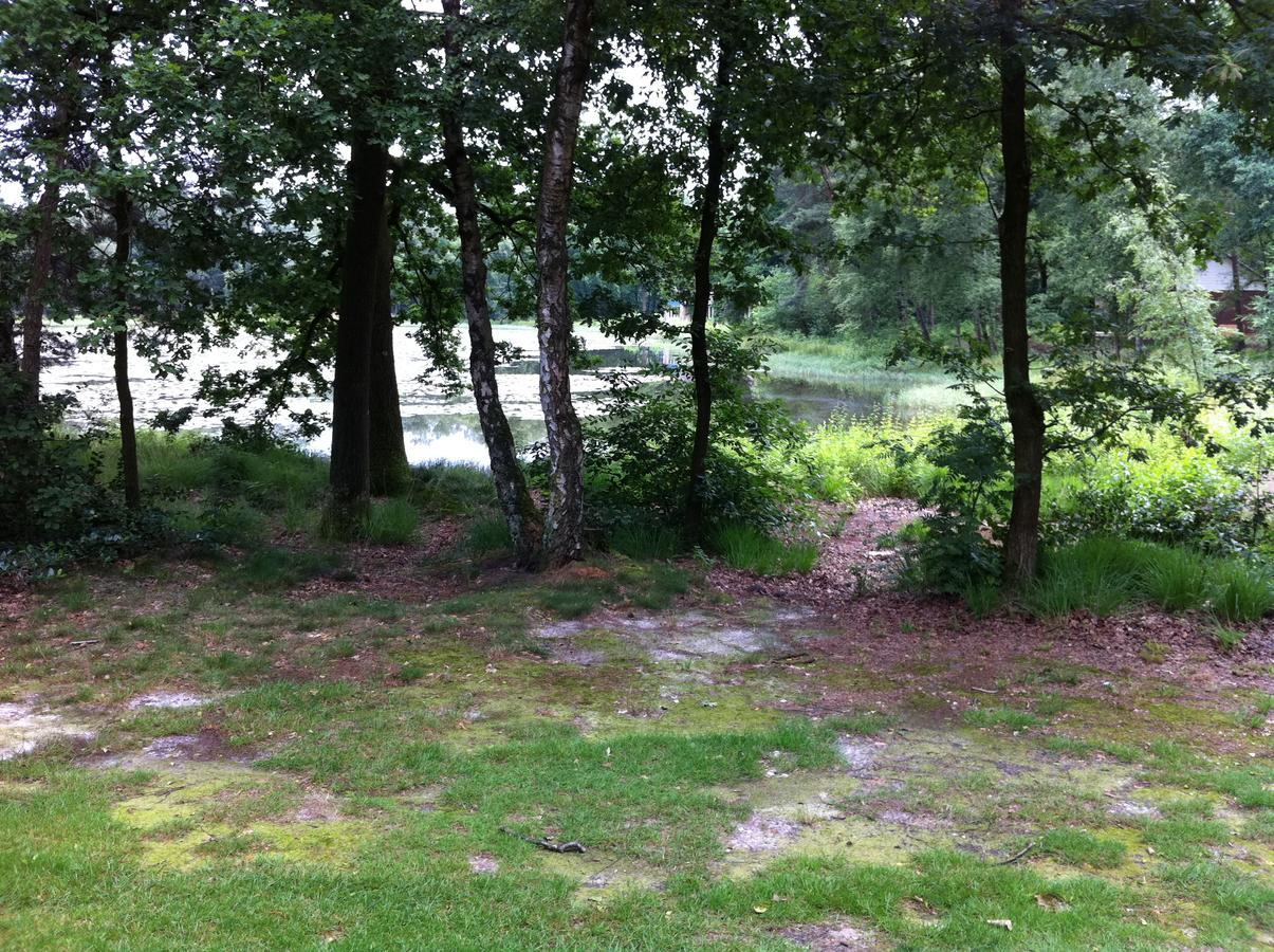 Villa Vosseven 15 Haasje Stramproy Esterno foto
