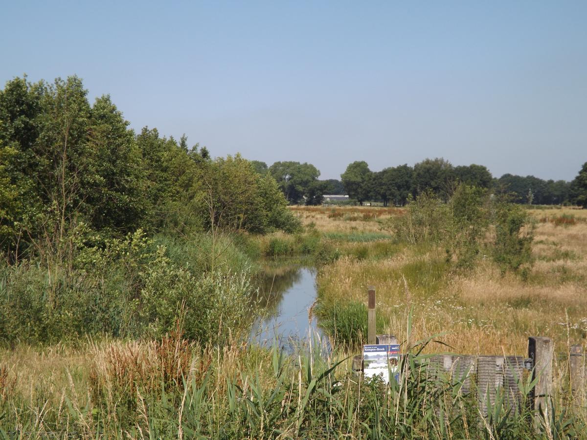 Villa Vosseven 15 Haasje Stramproy Esterno foto