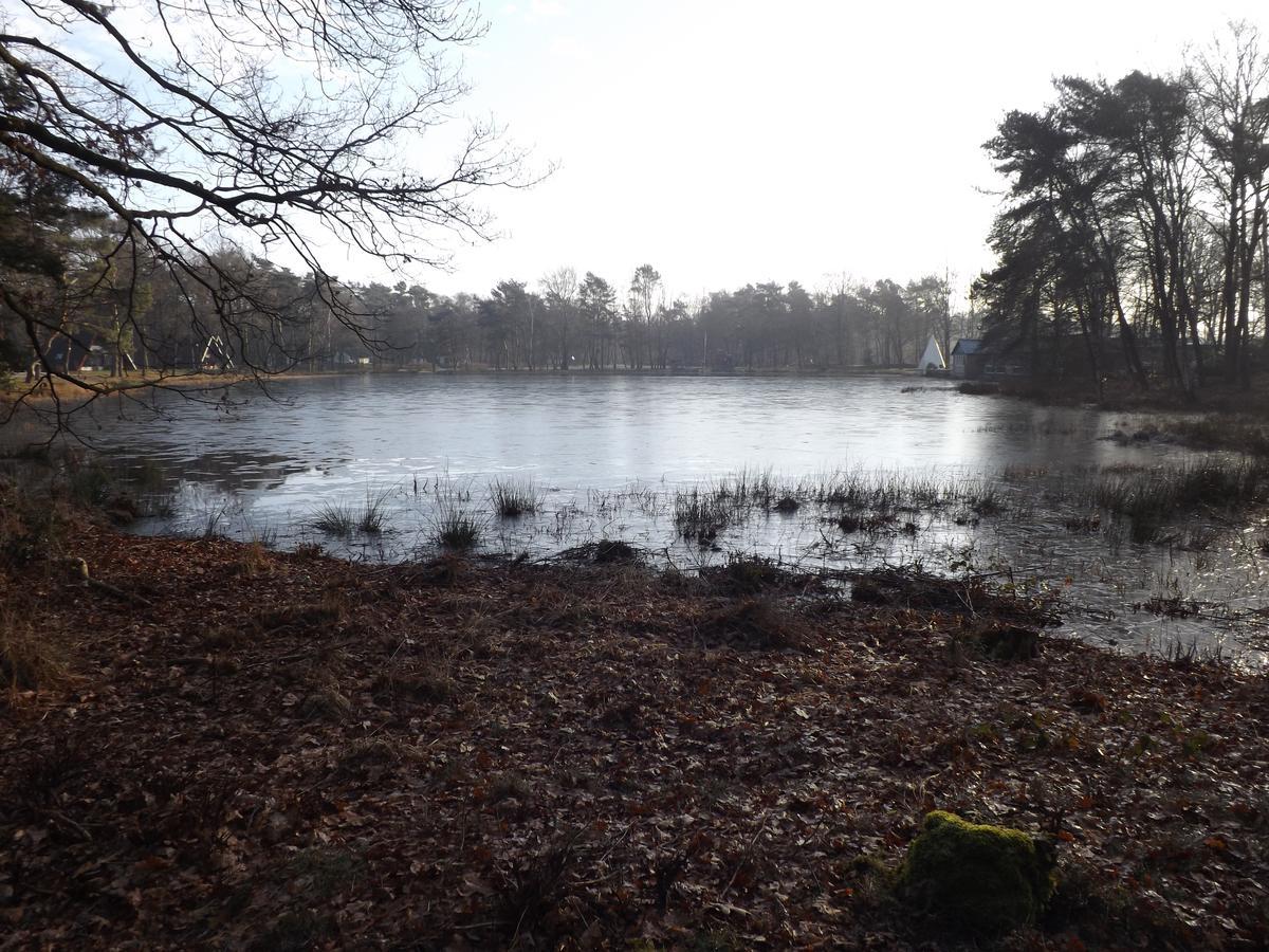 Villa Vosseven 15 Haasje Stramproy Esterno foto